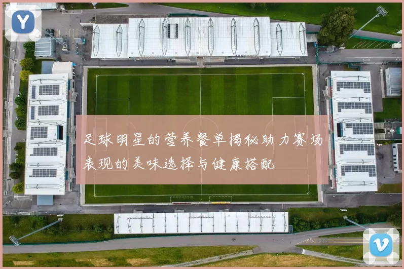 足球明星的营养餐单揭秘助力赛场表现的美味选择与健康搭配